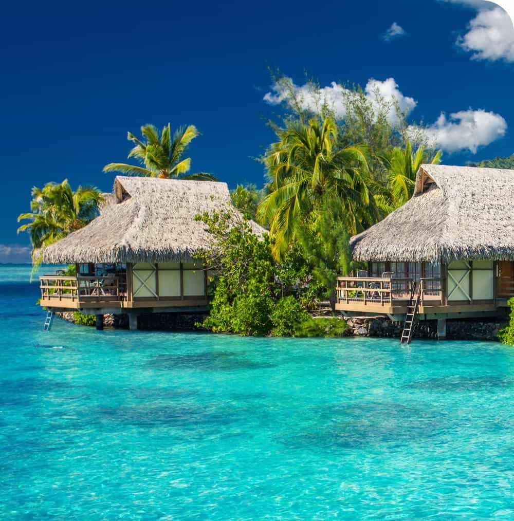 Arrivia, Our travel software platform helps you: