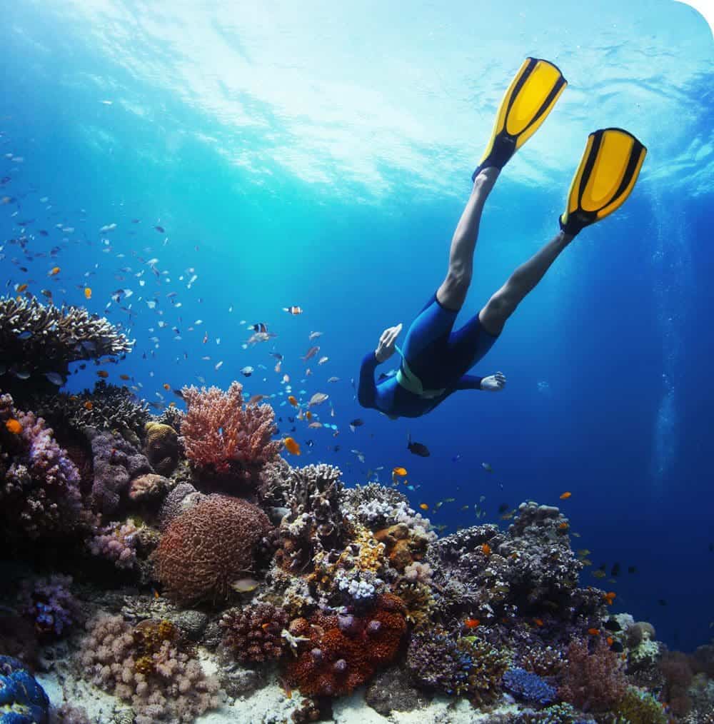 Arrivia, Our travel software platform helps you: