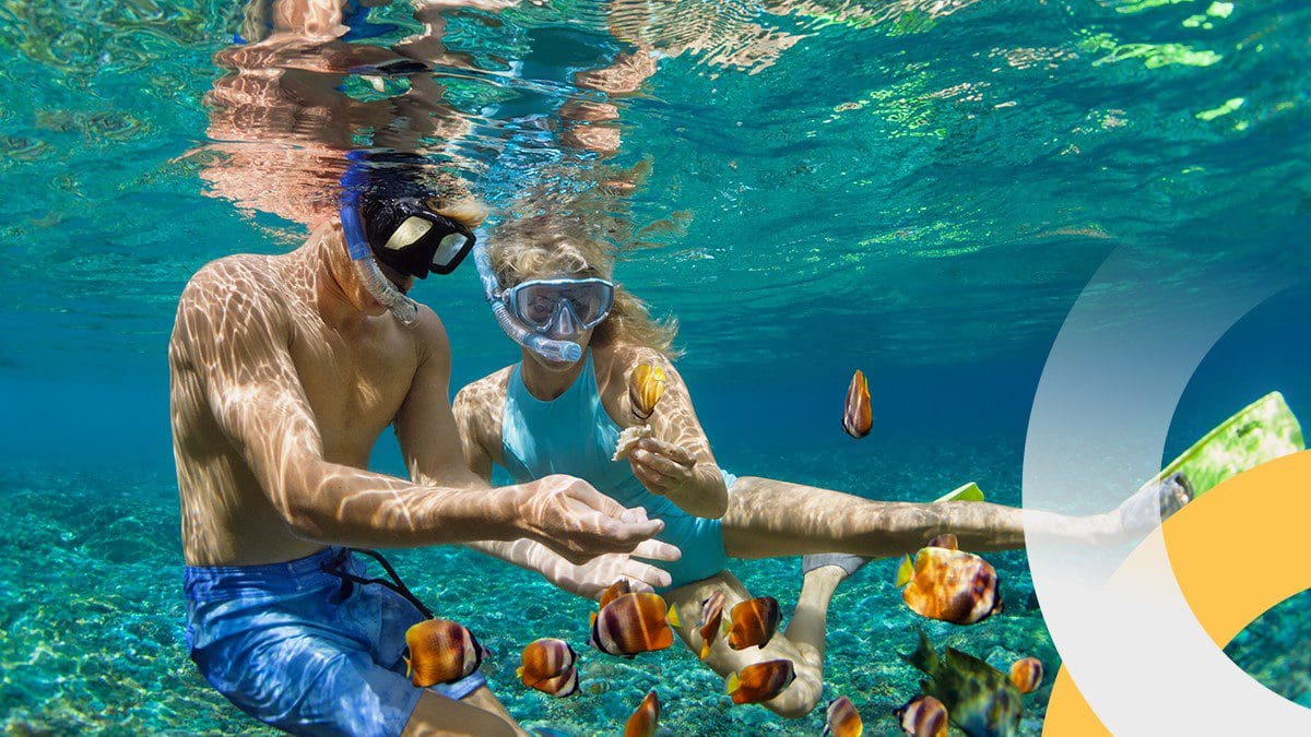 Consumers snorkeling on high value holiday booked using an arrivia-powered travel rewards platform