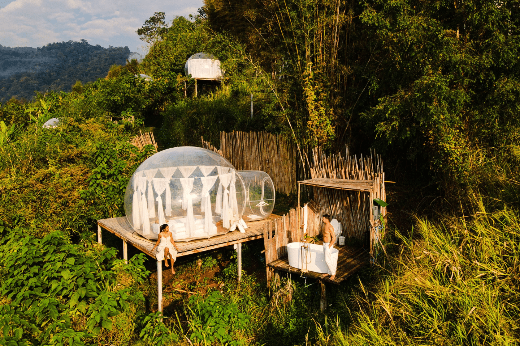 Sustainable lodging in the forest